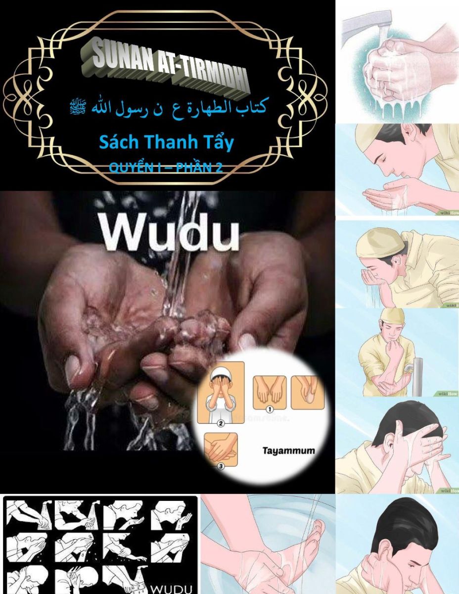 SUNAN AT TIRMIDHI - QUYỂN MỘT - SÁCH THANH TẨY PHẦN 2